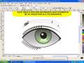 Video-aulas Suite Corel (Draw x Photopaint) - Aula 47