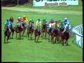 1986 (384) Premio ANTONIO BLASCO (Grupo I) (HABIT)