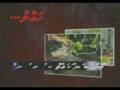 videos de mosquito awareness spot 1