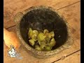 Ricetta: Uva Spina con gamberetti