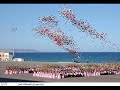 Yemeni Song 1 صوت من أجمل الأصوات اليمنية