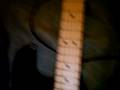 videos de blackie.mov