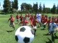 AFSO Video Collage