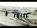 Hamid Baroudi - Caravane to Baghdad-