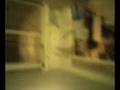 videos de quelli di ostra