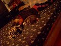 Sleeeping..