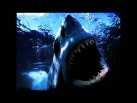 Image de prévisualisation YouTube