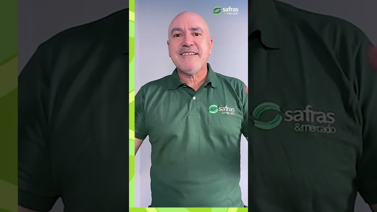 Treinamento intensivo em Trading School de Milho e Soja