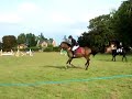 savannah open SJ tilney sept