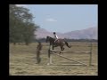 Wasabi ISR Gelding For Sale jumping Aug 2008