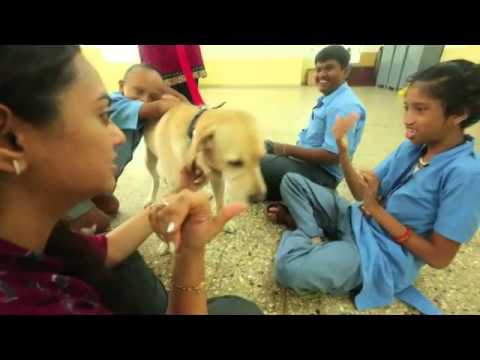 Animal Assisted Therapy with Children on YouTube
