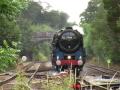 The Devonian 25-07-09 - free flv video @ vwatch.tv