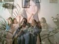 My Montage 7/19/08