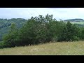 Wandeling