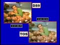 Ok, one more Tribble Tribute. This is where Kirk gets inundated with Tribbles.  In an effort to show the spacial relationship between the two shows (Dax and Sisko are in the overhead storage room), I have repositioned the two clips.  Note that some of the tossed Tribbles actually do time consistantly with ones hitting Kirk.  P.S. Though in all the other clips (and most of this one) I used DS9 sound exclusively, in this one I brought up the original music when Kirk and Spock come in to the lunchroom.