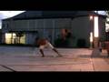 videos de Ancestrais Capoeira / Media / Theaterplatz