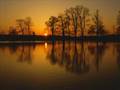 BEST- For the beauty of the Earth