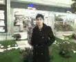 azeriler almanyada 1