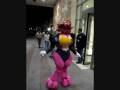videos de Roxikat at Midwest Furfest 2008