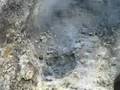 volcanic vent