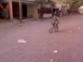 videos de Raza de la vh