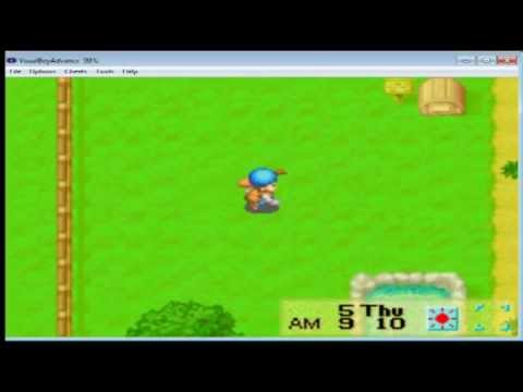 how to put cheats on gpsphone harvest moon