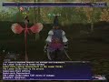 Soloing Lesser Colibri