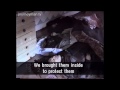 Putin's Hidden War - Chechnya