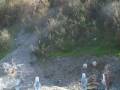 videos de LIDIA reggio