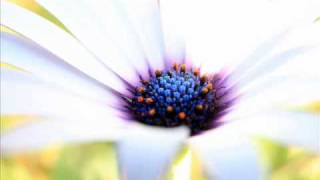 BACK . . . DOWN to RISE