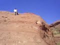 Chaparro Escalador