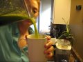 Day 4: Lemonade Smoothie