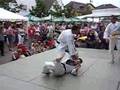 Ju Jutsu Vorführung Gurkenfest II 2007