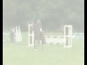 cicero at cranleigh show