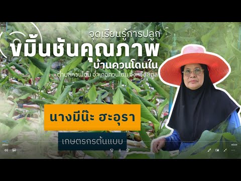 จุดเรียนรู้ขมิ้นชัน บ้านควนโดนใน อ.ควนโดน จ.สตูล