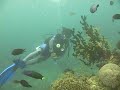Boracay Angol Point Dive