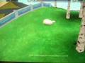 zoo tycoon 2