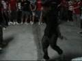 HOTB/THP VS HSE - [MAS] - Shuffle Battle On[Feb/15/2008]