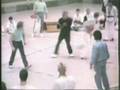 Kick-Boxen Semi Solingen 88