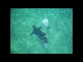 Snorkeling at Los Arcos