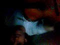 Vídeo003.3gp