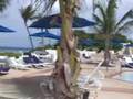 Hilton Barbados Review