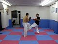 Tokai Karate Shimabukuro vs. Treiber