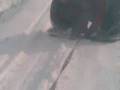 videos de Tirando con el santana anibal 4