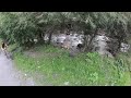Actividades Hotel Grau Roig - Mountain Bike