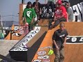 Shane Sheckler Volcom Damn Am 2007