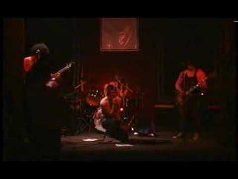Scoliosis Live