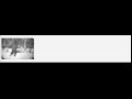 Stabilised version of the Patterson-Gimlin Bigfoot film
