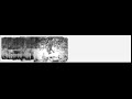 Stabilised version of the Patterson-Gimlin Bigfoot film