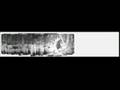 Stabilised version of the Patterson-Gimlin Bigfoot film